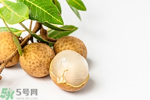 桂圓可以泡酒嗎？桂圓的功效與作用