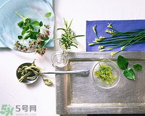 吃韭菜能減肥嗎？韭菜的功效與作用