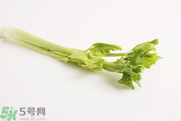 芹菜對精子有害嗎？芹菜對精子質(zhì)量有什么影響？