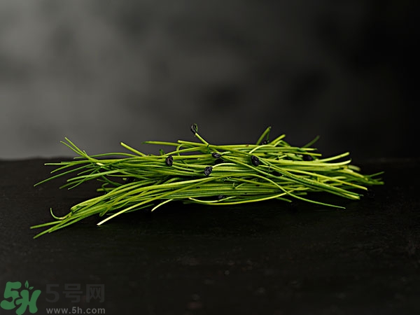 吃韭菜會(huì)燒心嗎？吃韭菜燒心怎么辦？