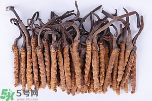 冬蟲夏草是怎么形成的？冬蟲夏草是蟲子嗎？