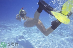 浮潛是什么意思？深潛和浮潛有什么區(qū)別？?