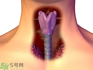 ?皰疹性咽峽炎有什么癥狀？寶寶?皰疹性咽峽炎癥狀