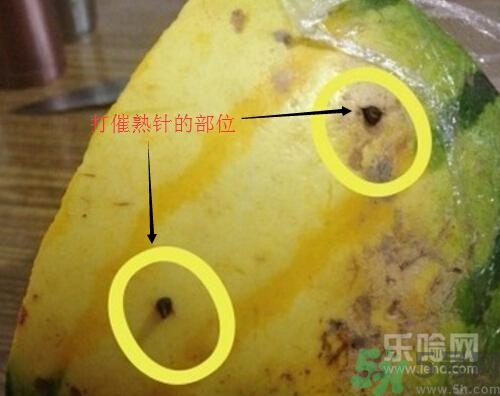 如何辨別催熟的西瓜？催熟的西瓜是什么樣的？