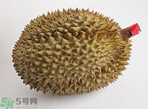 榴蓮沒開口可以吃嗎？榴蓮沒裂開能吃嗎？