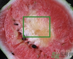 如何辨別催熟的西瓜？催熟的西瓜是什么樣的？