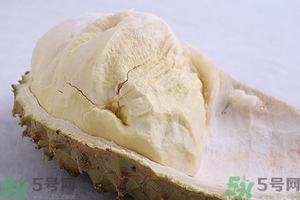 榴蓮能放冰箱嗎？榴蓮放在冰箱能保存幾天？