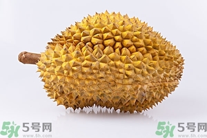 榴蓮能放冰箱嗎？榴蓮放在冰箱能保存幾天？