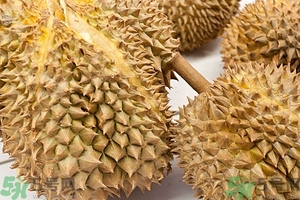 榴蓮能放冰箱嗎？榴蓮放在冰箱能保存幾天？