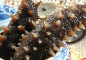 海參是發(fā)物嗎?海參是不是發(fā)物?
