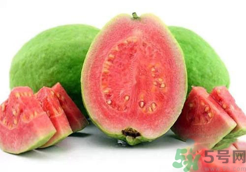 番石榴是發(fā)物嗎？番石榴是不是發(fā)物？