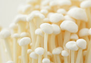 吃金針菇要注意什么？金針菇的食用禁忌