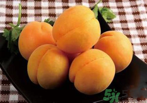 杏子是熱性還是涼性？杏子是涼性的嗎？