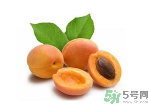 杏子上有黑點(diǎn)是怎么回事？杏子上有斑點(diǎn)可以吃嗎？