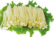 金針菇?jīng)]熟透能吃嗎?金針菇?jīng)]煮熟有毒嗎?