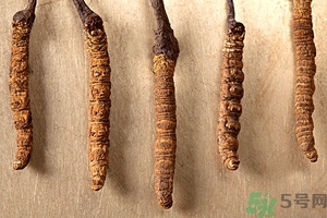 冬蟲夏草真假怎么鑒別？冬蟲夏草怎么吃效果最好？