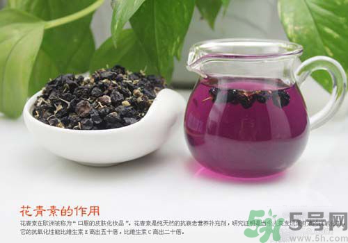 黑枸杞泡水是什么顏色？黑枸杞泡水是紫色的嗎？