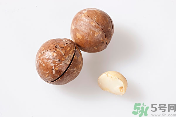 夏威夷果什么時(shí)候成熟上市？腰果和夏威夷果的區(qū)別
