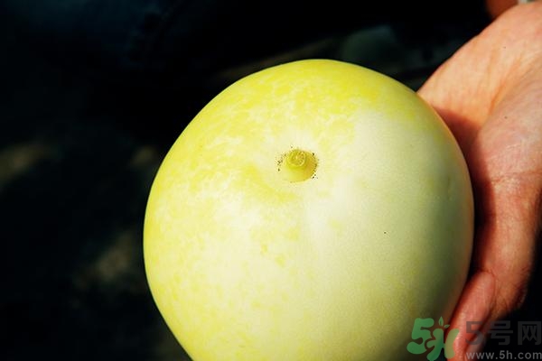 香瓜有酒味能吃嗎？香瓜有酒味吃了會怎樣？