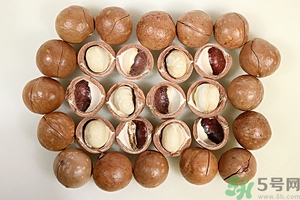 夏威夷果產(chǎn)地在哪里？夏威夷果為什么有奶香？