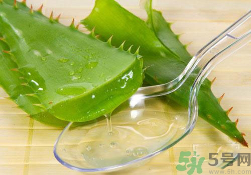 蘆薈膠要洗臉嗎？用完蘆薈膠要不要洗臉？