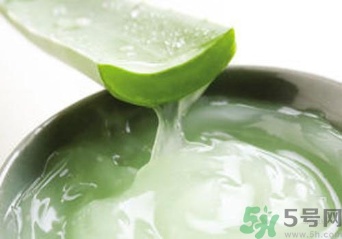 蘆薈膠可以天天用嗎？蘆薈膠天天用好不好？