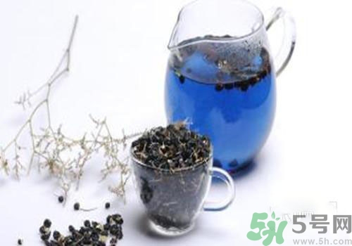 黑枸杞能用開水泡嗎？黑枸杞的沖泡方法