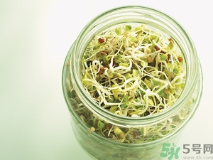 吃豆芽會胖嗎？豆芽會不會讓人長胖？