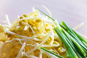 吃豆芽會(huì)胖嗎？豆芽會(huì)不會(huì)讓人長(zhǎng)胖？