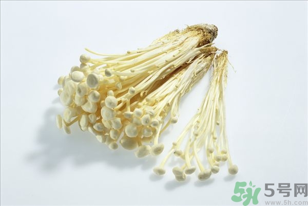 致癌金針菇怎么鑒別？如何選購金針菇？
