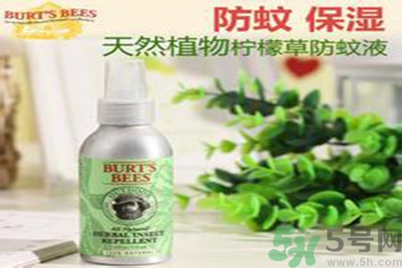 驅(qū)蚊液可以驅(qū)蒼蠅嗎？驅(qū)蚊液可以驅(qū)走什么蟲(chóng)子？