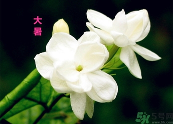 大暑是幾月幾日？大暑是什么意思？