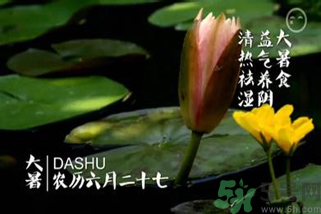 大暑吃什么養(yǎng)生？大暑吃什么好？