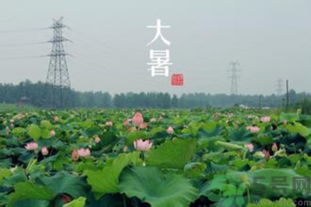 大暑吃什么養(yǎng)生？大暑吃什么好？