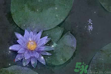 大暑吃什么養(yǎng)生？大暑吃什么好？
