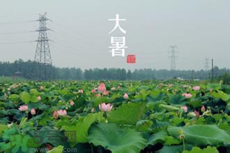 大暑吃什么水果？大暑吃什么水果養(yǎng)生？