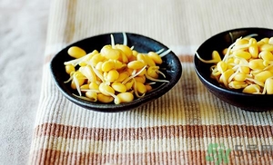黃豆芽能涼拌嗎？涼拌黃豆芽的家常做法