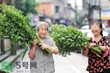 夏天可以用艾草驅(qū)蚊嗎？夏天可不可以用艾草驅(qū)蚊？