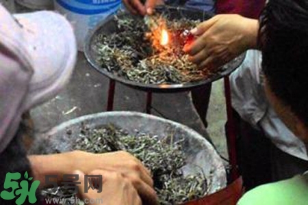 夏天可以用艾草驅蚊嗎？夏天可不可以用艾草驅蚊？