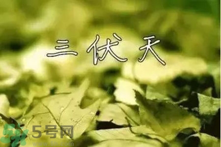 三伏天什么時候結(jié)束？三伏天是哪幾天？