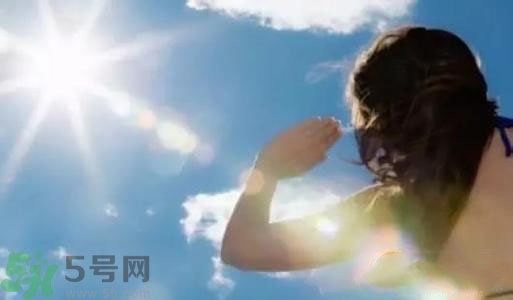 三伏天吃什么？三伏天傳統(tǒng)美食有哪些？
