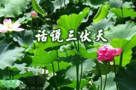 三伏天吃什么？三伏天傳統(tǒng)美食有哪些？