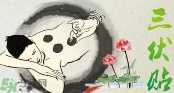 三伏貼的印子怎么去掉？三伏貼的印記多久才會(huì)消失？
