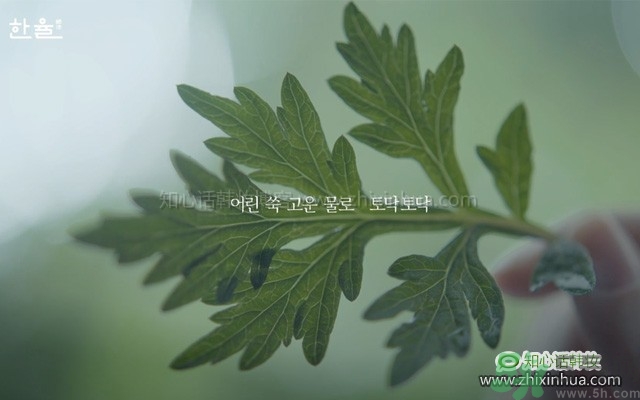 韓律艾草補水鎮(zhèn)靜噴霧怎么樣？好用嗎？