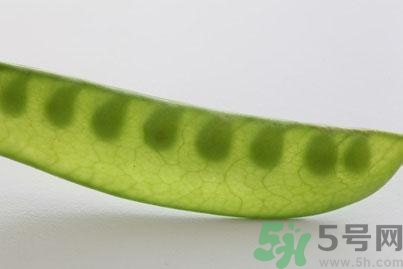 煮豌豆怎么做好吃？煮豌豆的做法