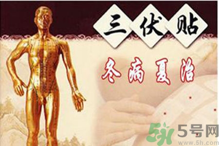 胃病可以貼三伏貼嗎？胃病貼三伏貼貼哪里？