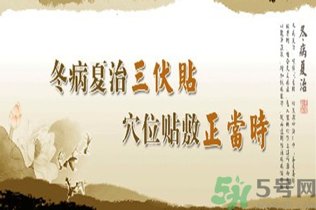 胃病可以貼三伏貼嗎？胃病貼三伏貼貼哪里？