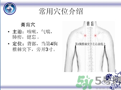 三伏貼可以貼肚臍嗎？三伏貼可以貼肚臍眼嗎？