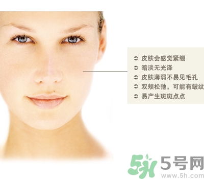 干性皮膚用什么洗面奶？干性皮膚該怎么保養(yǎng)？