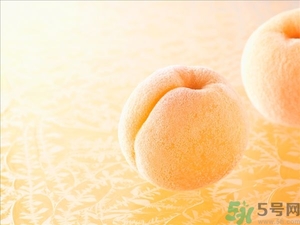 杏子不太熟能吃嗎？杏子不太熟怎么辦？